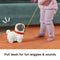 Fisher Price Pets Walk-The-Pup Pug