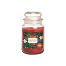 Petali Large Candle Jar - Christmas Carol