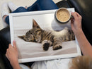 Sleeping Kitten Lap Tray