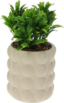 Artificial Plant In Ceramic Pot Assorted