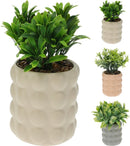 Artificial Plant In Ceramic Pot Assorted