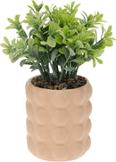 Artificial Plant In Ceramic Pot Assorted