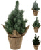 Christmas Tree In Pot 30cm Assorted