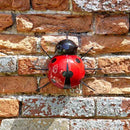 Garden 'Hangers-On' Ladybird Large