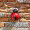 Garden 'Hangers-On' Ladybird Large