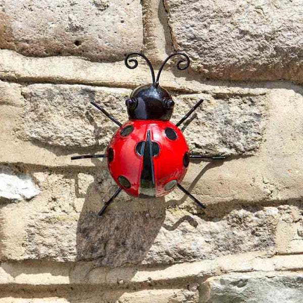 Garden 'Hangers-On' Ladybird