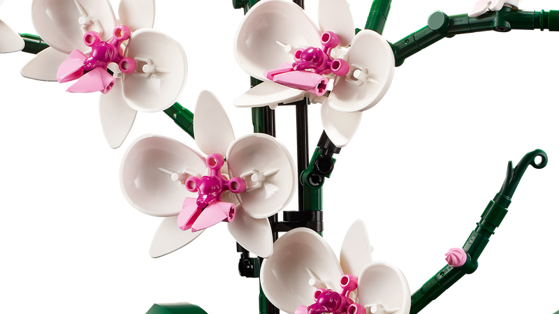 LEGO Icons Orchid Plant & Flowers