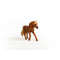 Schleich Icelandic Pony Stallion