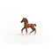 Schleich Oldenburger Foal