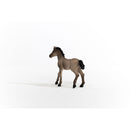 Schleich Criollo Definitivo Foal