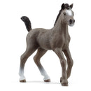 Schleich Selle Français Foal