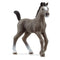 Schleich Selle Français Foal