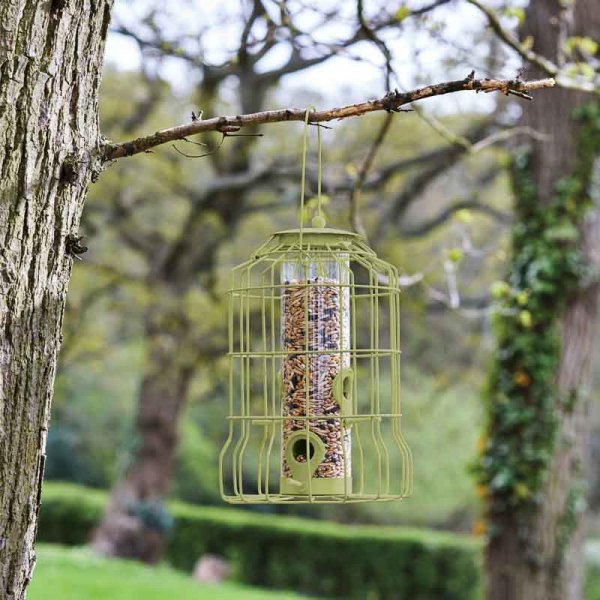 Seed Bird Feeder With Squirrel Guard