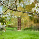 Peanut Bird Feeder With Squirrel Guard