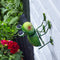Garden 'Hangers-On' Frog