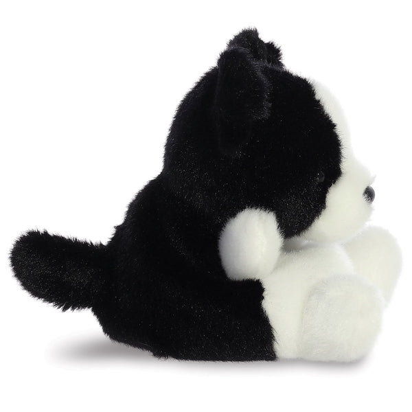 Palm Pals Plush - Brodie Collie Dog