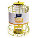 Kingfisher Seed Bird Feeder With Squirrel Guard