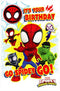 No Age Birthday Card Spidey