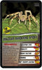 Top Trumps Spiders Card Game