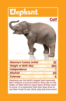 Top Trumps Baby Animals Card Game