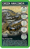 Top Trumps Snakes Card Game