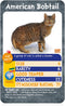 Top Trumps Cats Card Game