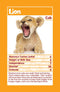 Top Trumps Baby Animals Card Game