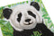 Crystal Art Card 18cm x 18cm - Baby Panda