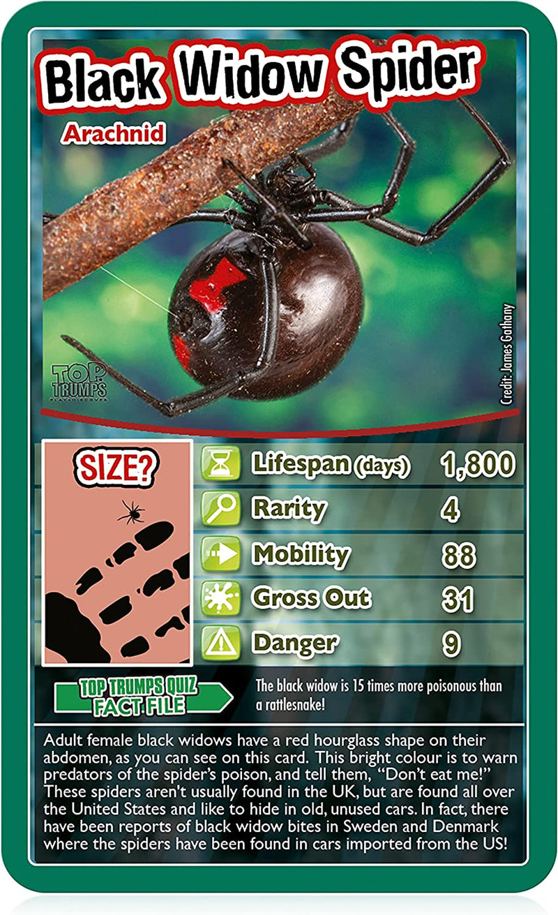 Top Trumps Bugs Card Game