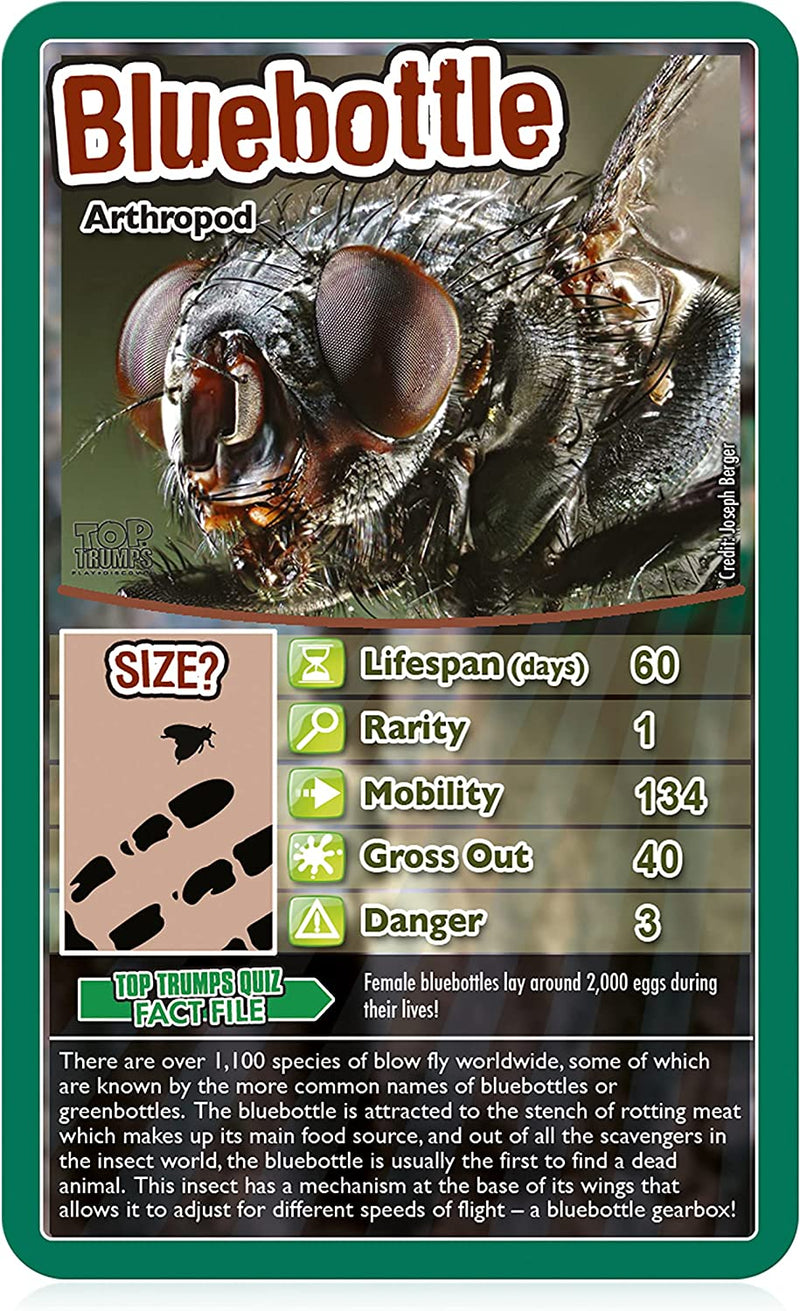 Top Trumps Bugs Card Game