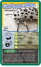 Top Trumps Bugs Card Game