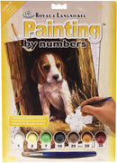 Paint By Numbers Beagle Pup