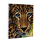 Crystal Art Kit 30cm x 30cm - Leopard