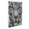 Crystal Art Kit 30cm x 30cm - White Tiger