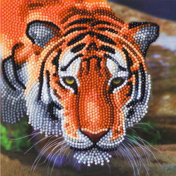 Crystal Art Card 18cm x 18cm - Tiger