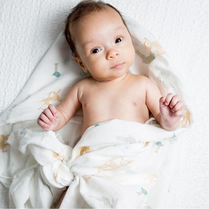 Lulujo Muslin Swaddle - Little Fawn