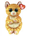 TY Beanie Boo - Mango Cat