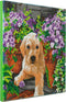 Crystal Art Kit 30cm x 30cm - Floral Pup