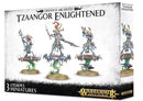 Games Workshop Tzeentch Arcanites Tzaangor Enlightened