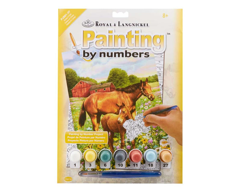 Paint By Numbers Horse