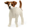 Schleich Jack Russell Terrier